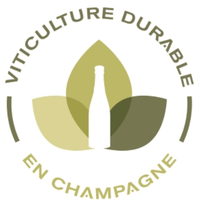 Champagne, Chocolate & Coffee Beans |Sustainable|Ecological | 