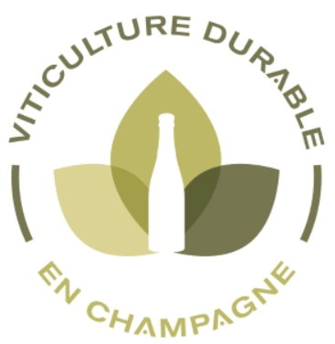 Champagne, Chocolate & Coffee Beans |Sustainable|Ecological | 
